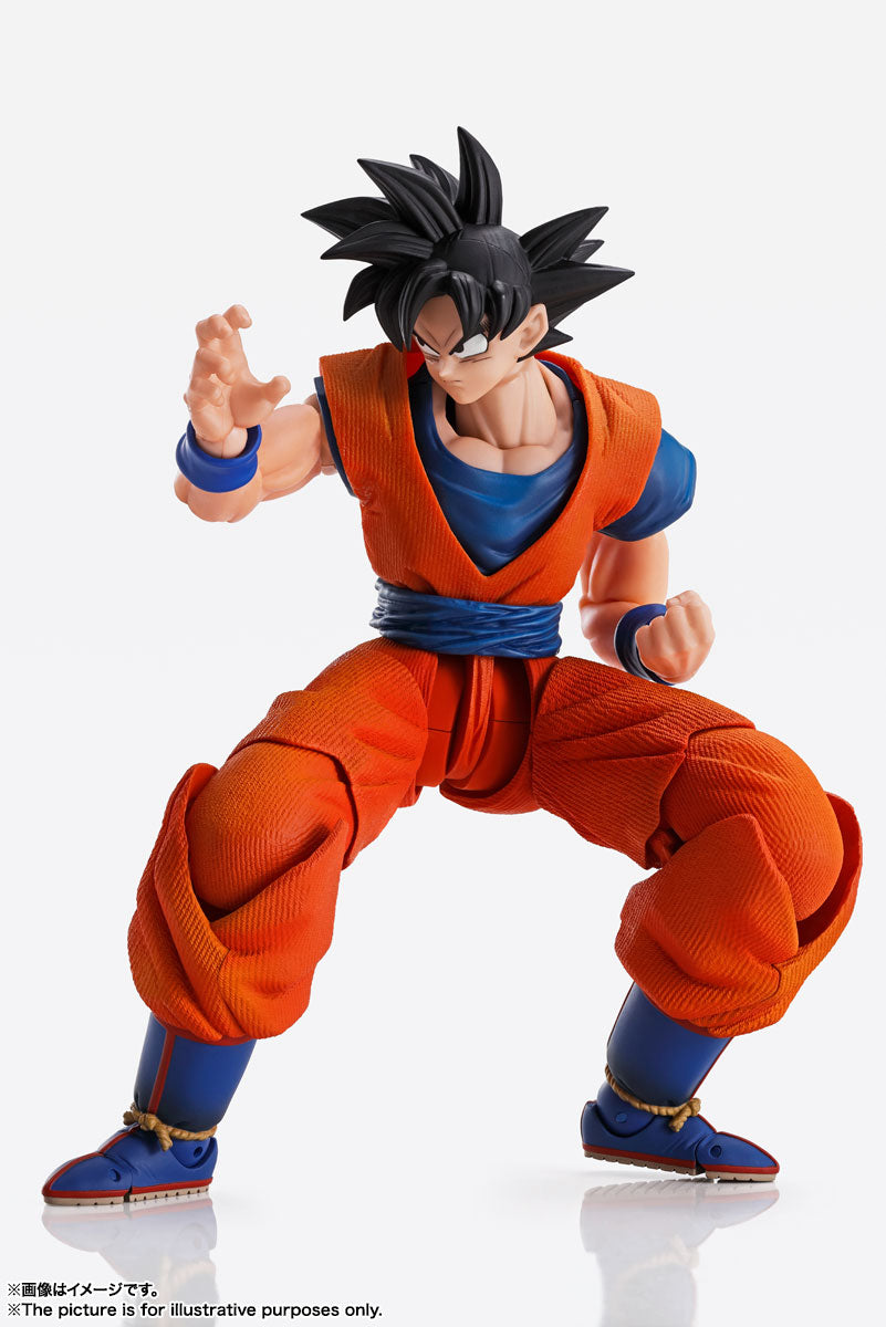 Imagination Works Dragon Ball 1/9 Son Goku Tamashii Nations Bandai