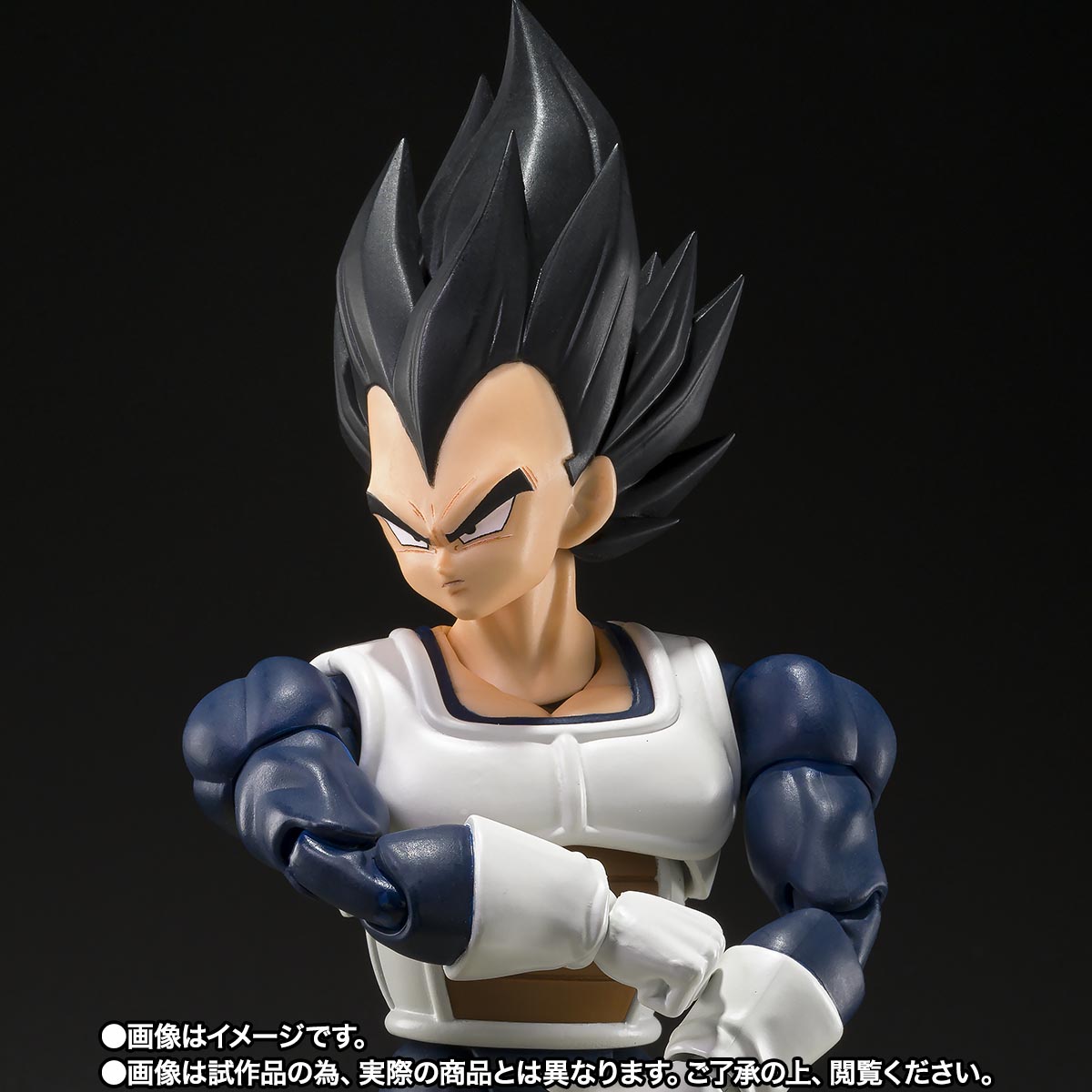 S.H.Figuarts Dragon Ball Vegeta Older Style Battle Clothes Tamashii Nations Bandai